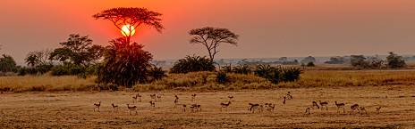 8-Day Ultimate Kafue National Park Safari