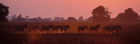 5-Day Safari to Livingstone and Kafue National Park