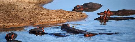 4-Day Affordable South Luangwa