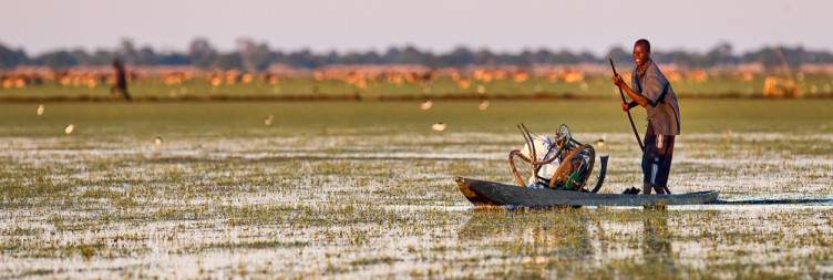Bangweulu Swamps