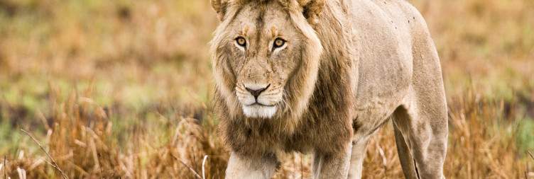 16-Day Zambia off the Beaten Track Safari