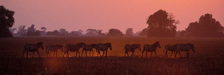 Explore and Experience Kafue National Park