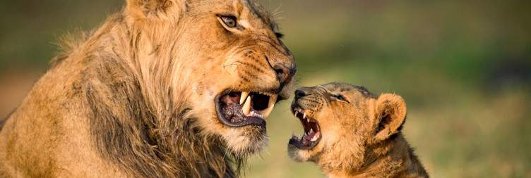 Exploring Kafue National Park