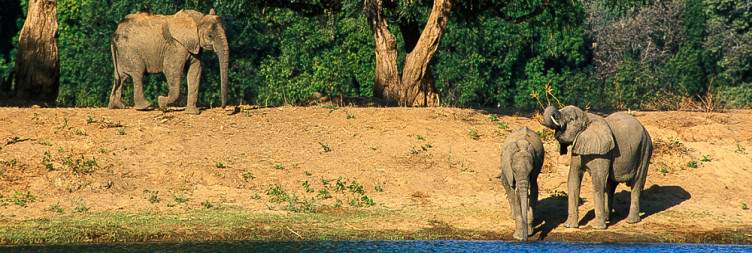 Departure from Zambia