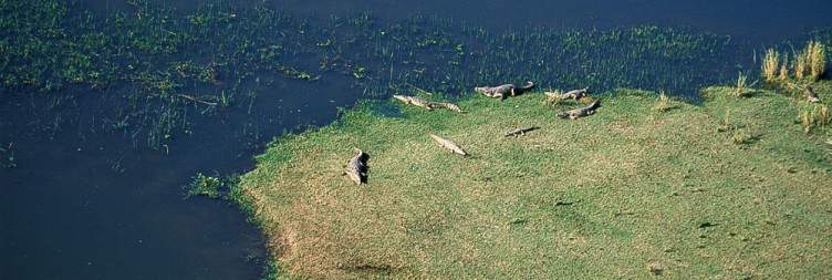 Experience the Lower Zambezi National Park