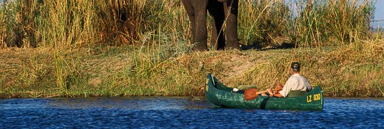 Game Drive or Canoe in Lower Zambezi National Park
