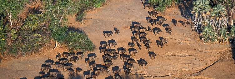 Lower Zambezi