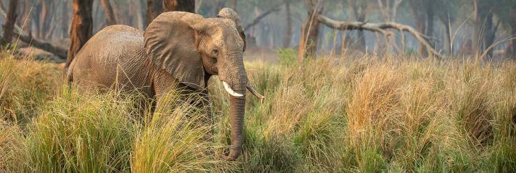 Explore the Beautiful Lower Zambezi National Park