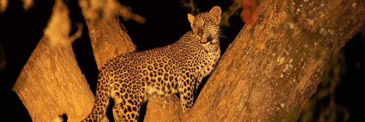 Transfer Lower Zambezi National Park