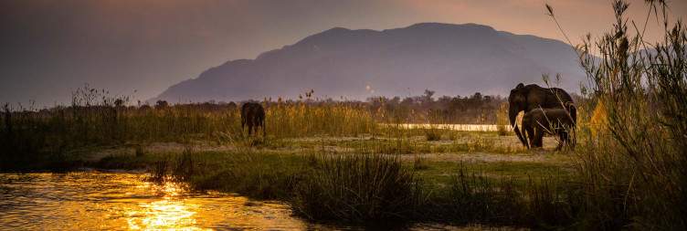 Exploring the Lower Zambezi