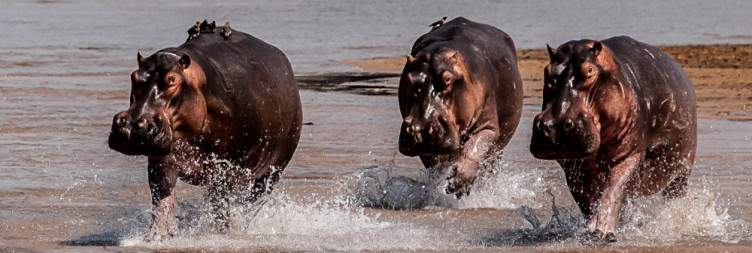 Luambe National Park