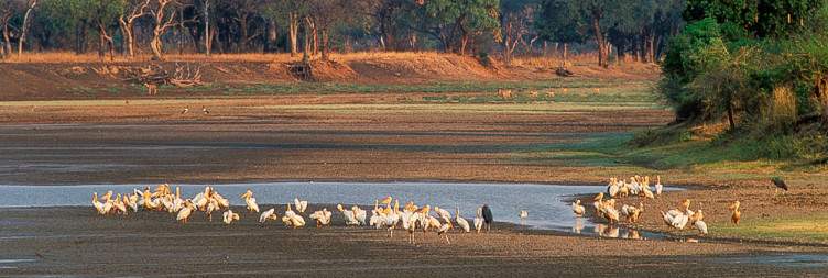 South Luangwa National Park: Kafunta River Lodge