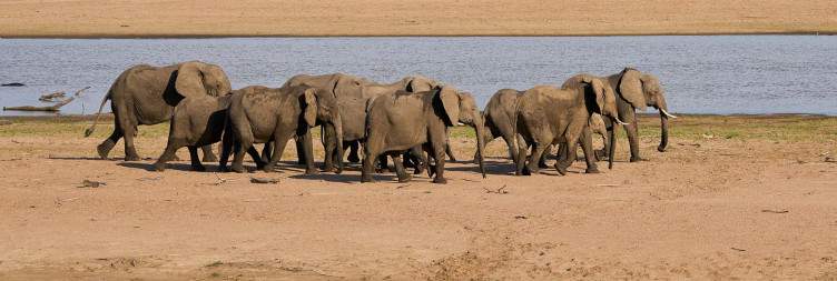 Transfer to Nkonzi Camp