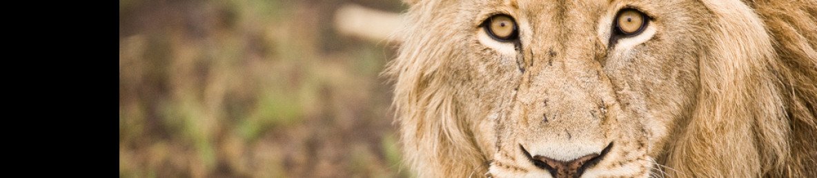 4-Day Lower Zambezi Explorer Safari