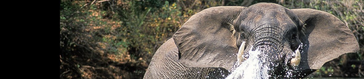 12-Day Family Holiday to Zambia: Safari & Victoria Falls