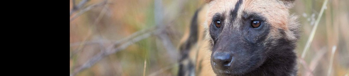 9-Day Classic Zambia
