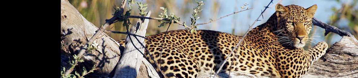 15-Day Ultimate Zambia Overland Safari