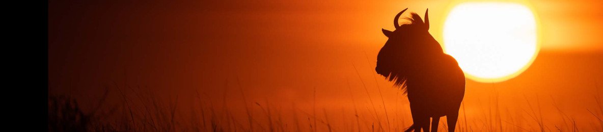 12-Day Wildlife Safari with Mountainbiking