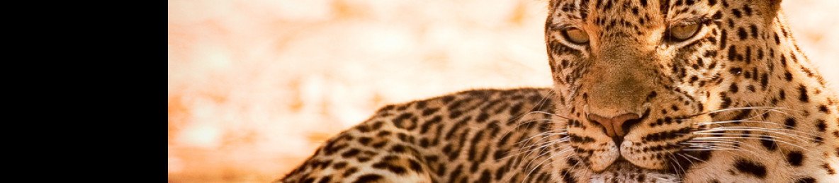 9-Day Explore Zambia