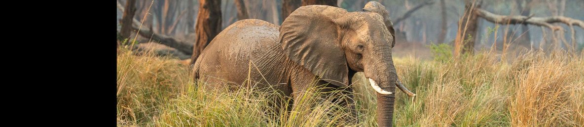 10-Day The Best of Zambia