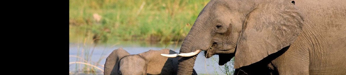 11-Day A Great Introduction to Zambia