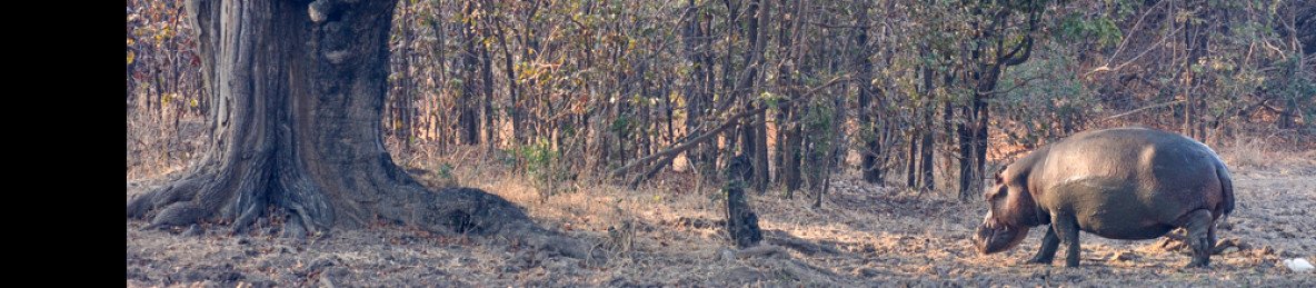 7-Day Affordable Kafue Safari