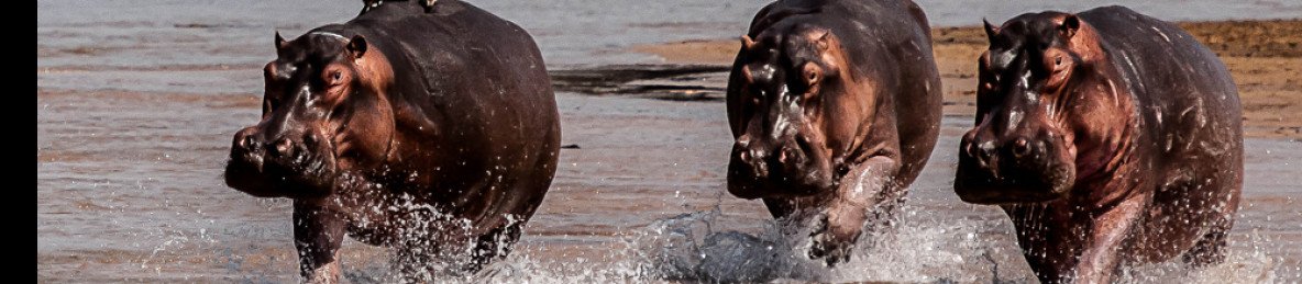 12-Day Refined by the Wild in Zambia