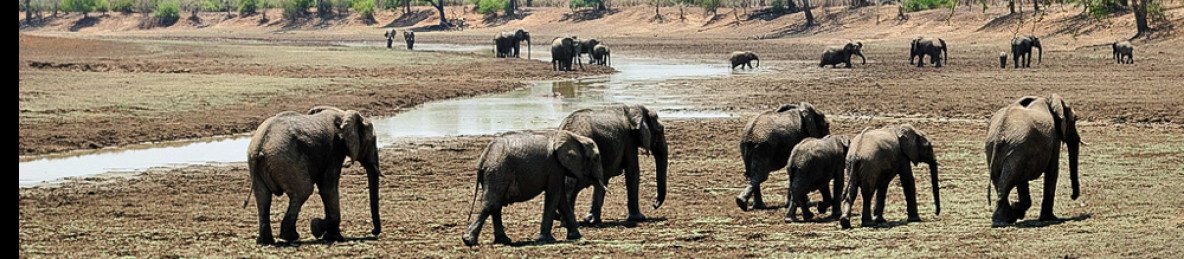 15-Day Walking Safari Zambia