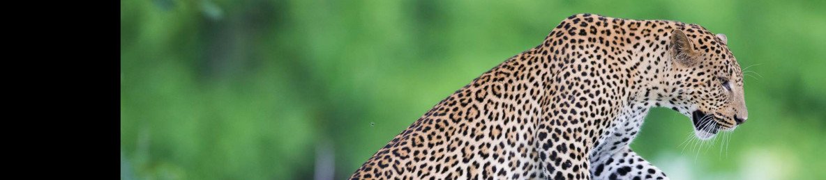 3-Day Marula Safari - Lower Zambezi