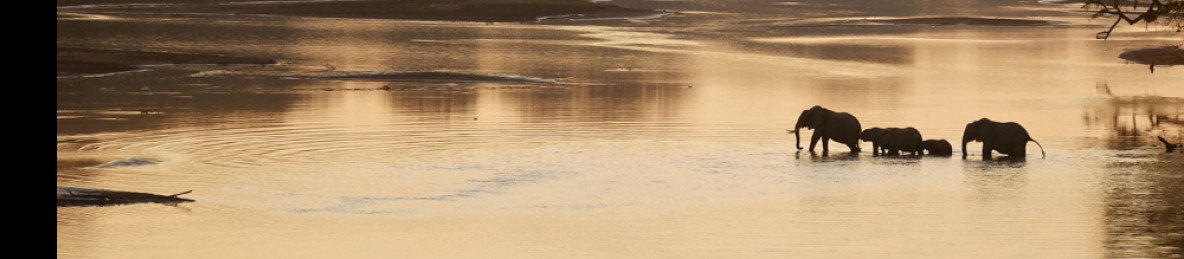 6-Day Discover Zambia