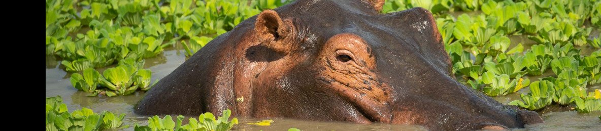 6-Day Luxury Zambia Experience