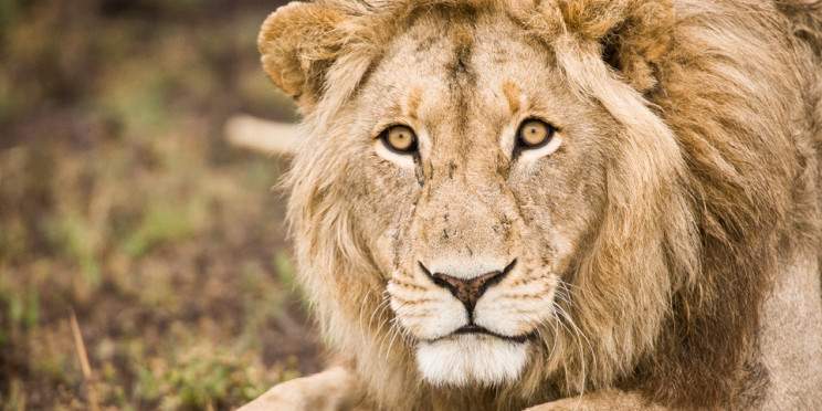 4-Day Lower Zambezi Explorer Safari