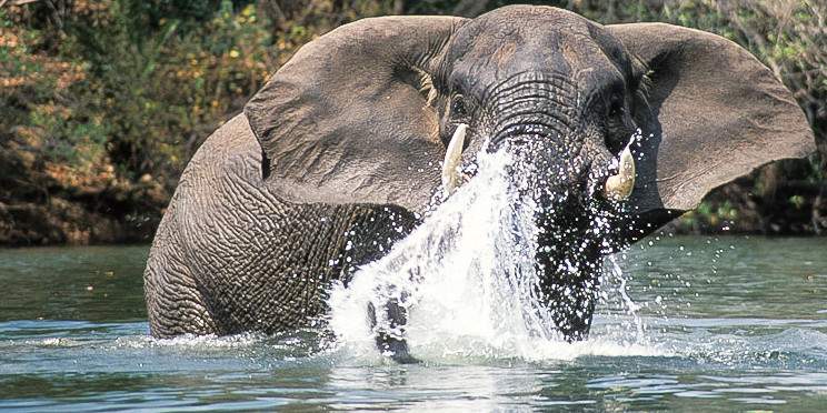 12-Day Family Holiday to Zambia: Safari & Victoria Falls