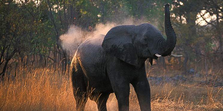 10-Day South Luangwa, Lower Zambezi and Kafue