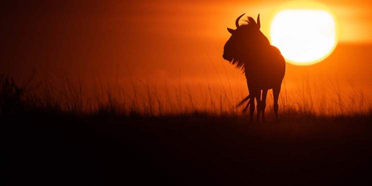 12-Day Wildlife Safari with Mountainbiking