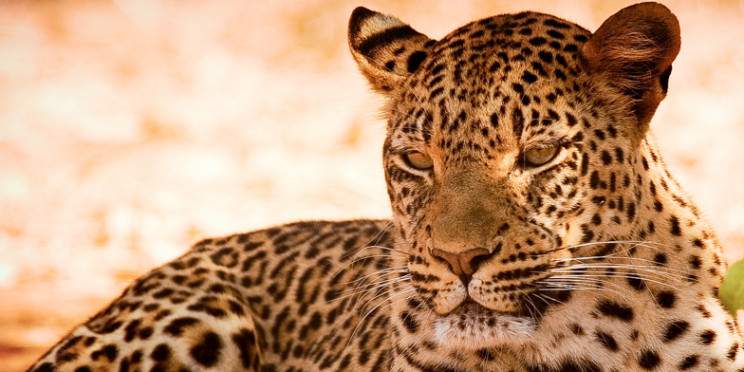 9-Day Explore Zambia