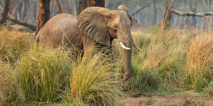 10-Day The Best of Zambia