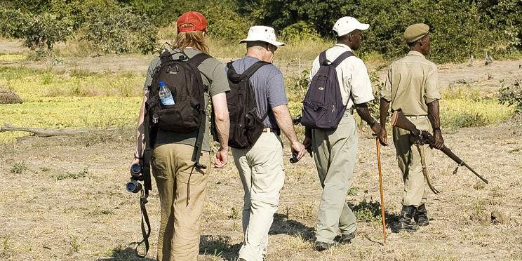 4-Day Best of South Luangwa Mid Range Safari Package