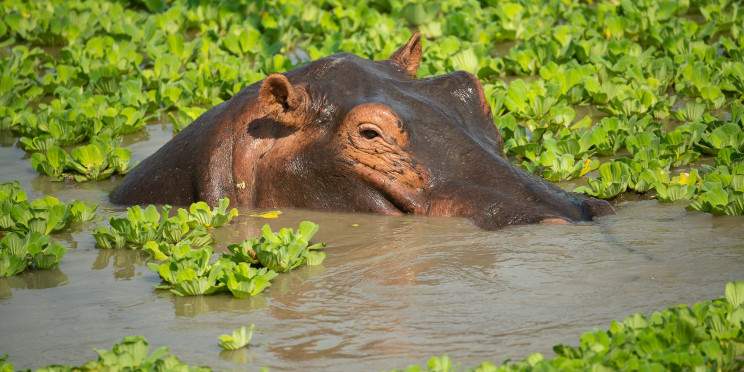 6-Day Luxury Zambia Experience