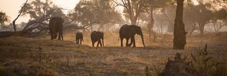 Pick Up in Bulawayo and Road Transfer to Gonarezhou National Park