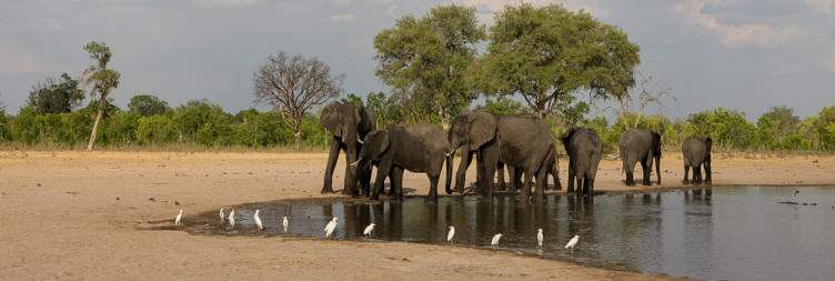 Hwange National Park