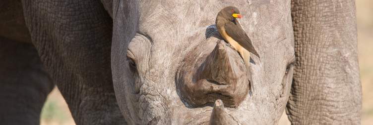 Hwange National Park