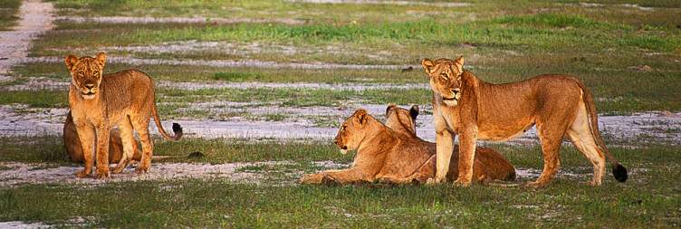 Hwange National Park