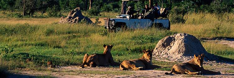 Matobo to Hwange National Park