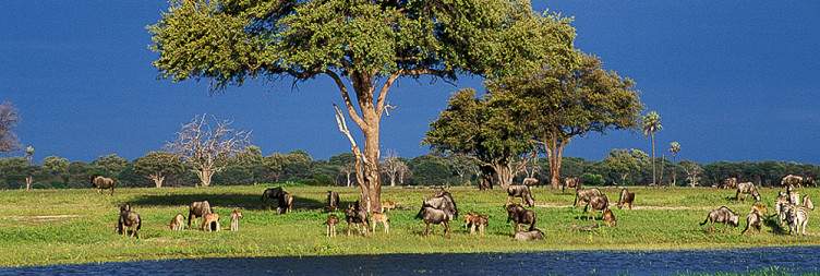 Drive to Hwange National Park