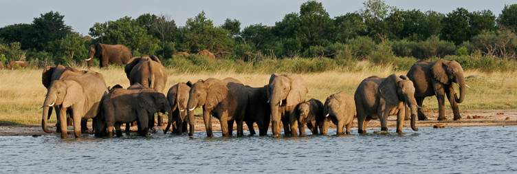 Victoria Falls - Hwange National Park