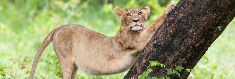 Hwange National Park