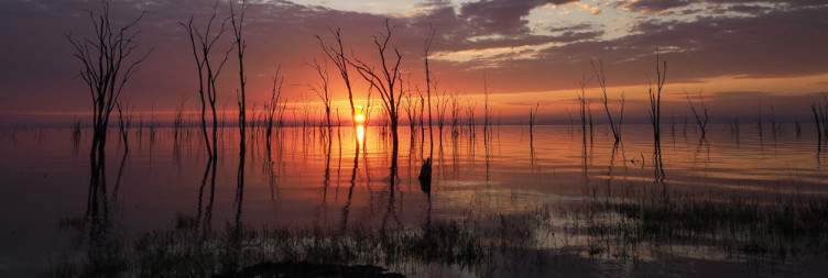 Depart Hwange and Fly to Lake Kariba