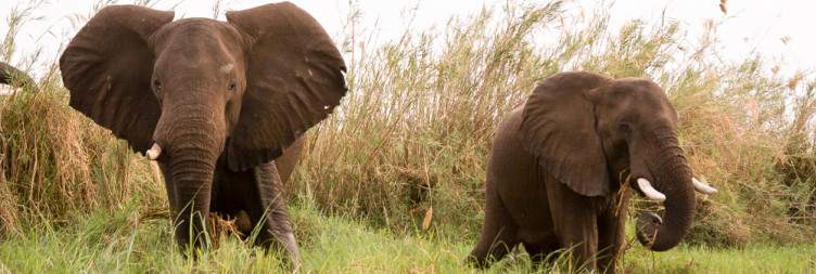 Exploring Mana Pools