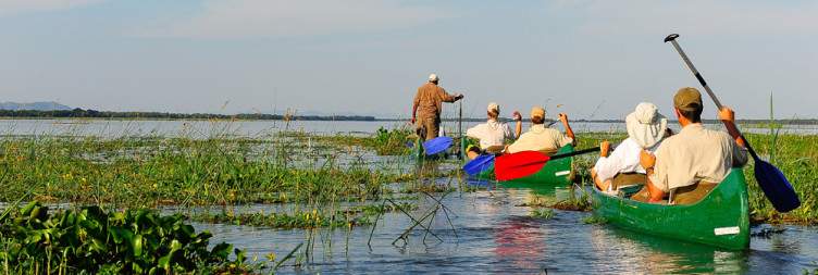 Safari in Mana Pools National Park